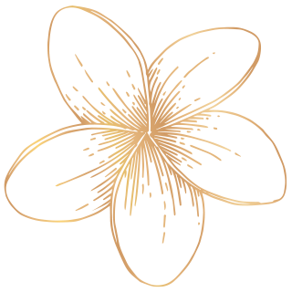 blume1-320×320 blume1-320x320